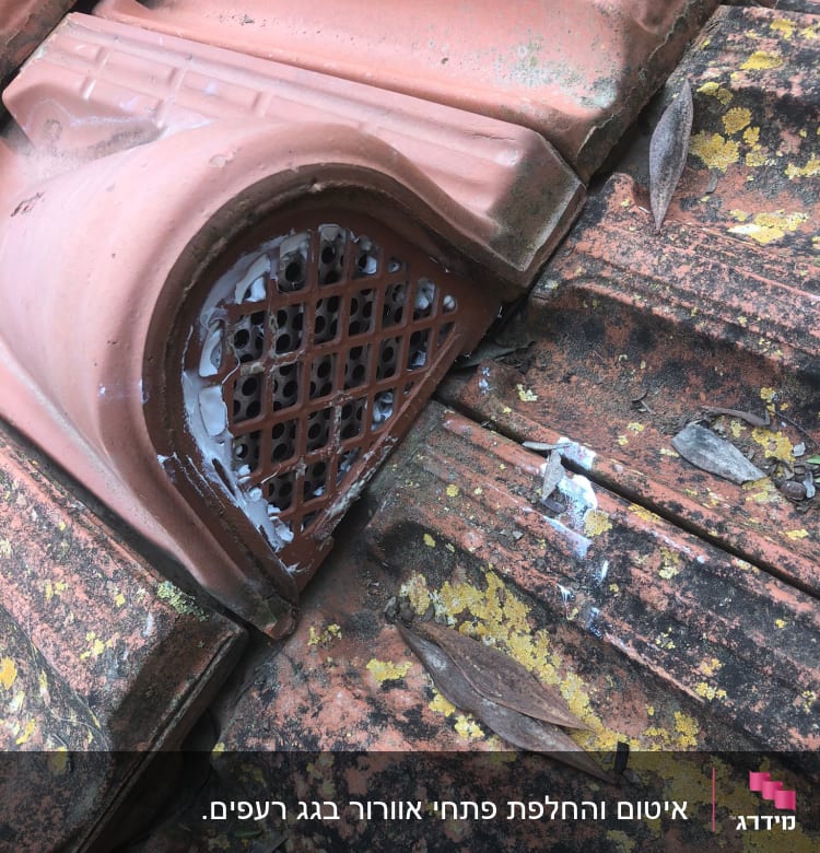 רעפים עם רשת אוורור ומעטה טחב